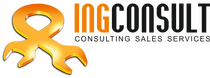 INGCONSULT