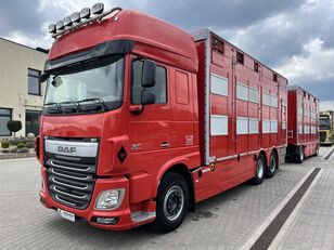 скотовоз DAF  XF 105.510 + прицеп скотовоз